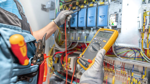 Best Ceiling Fan Installation Electrician  in La Feria, TX